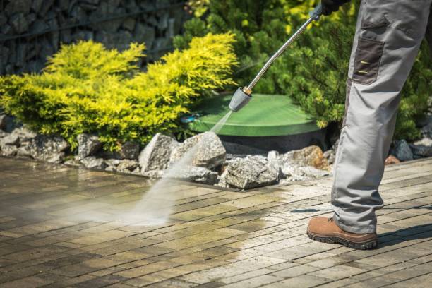 Best Dumpster Area Cleaning  in Marana, AZ