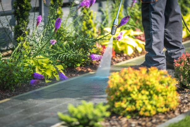 Best Factory Floor Cleaning  in Marana, AZ